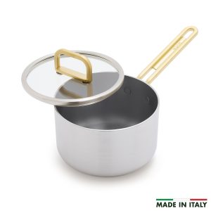 Stanley Tucci? Stainless Steel Ceramic Nonstick 2-Quart Saucepan with Lid | Champagne Handles